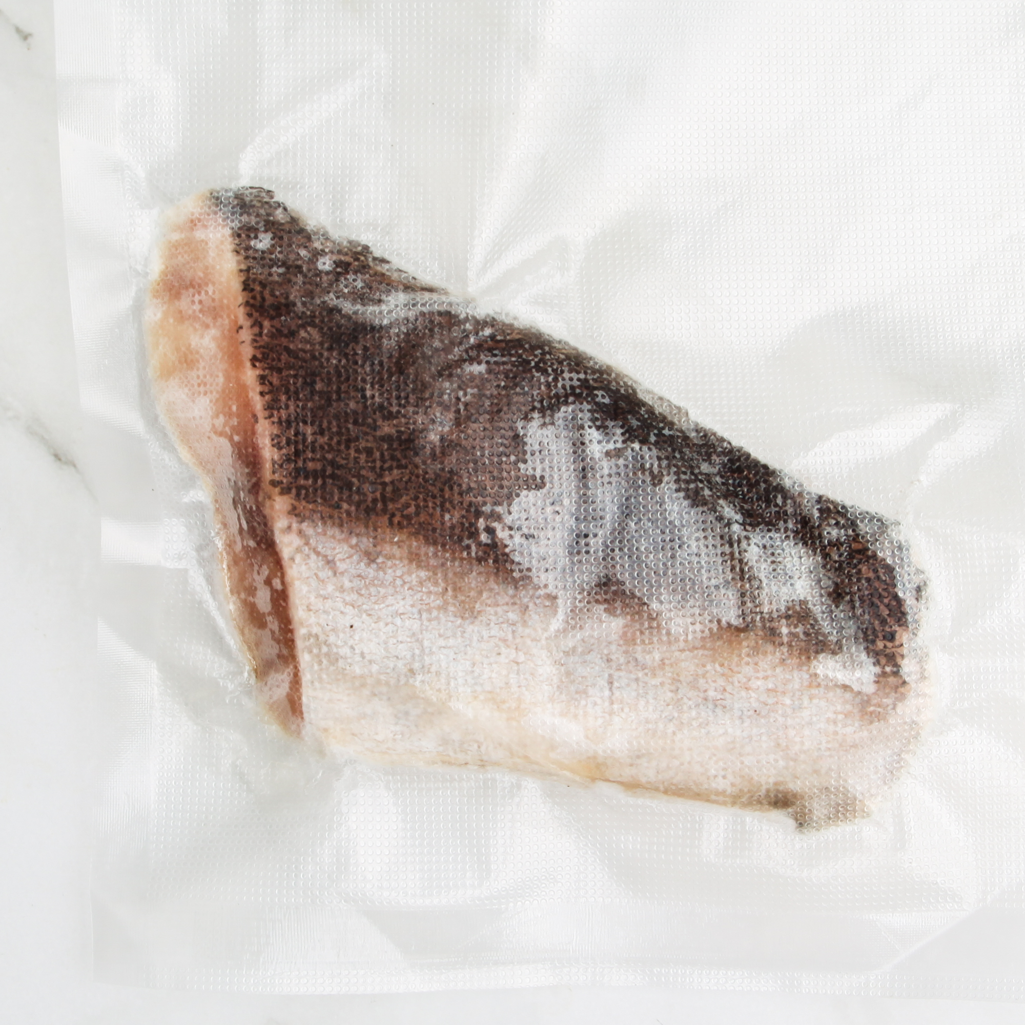 Wild Cobia Fish Fillet